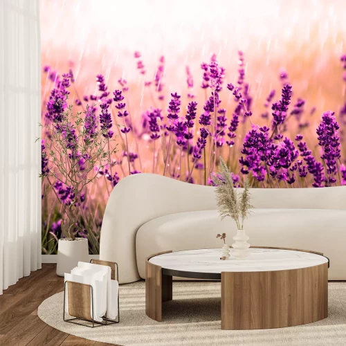 Fotobehang Provencaalse natuur