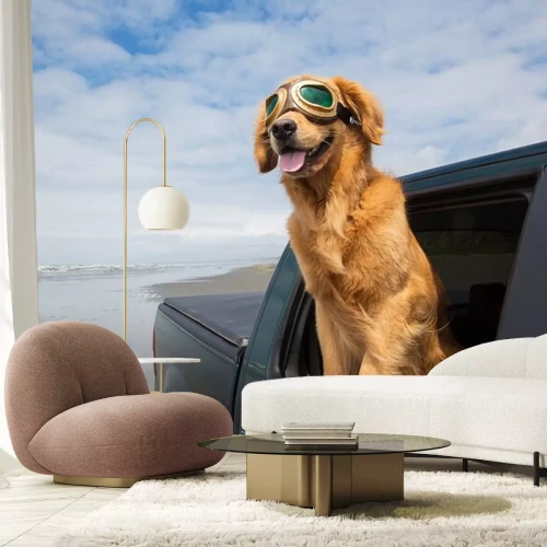 Sticker Hond road trip