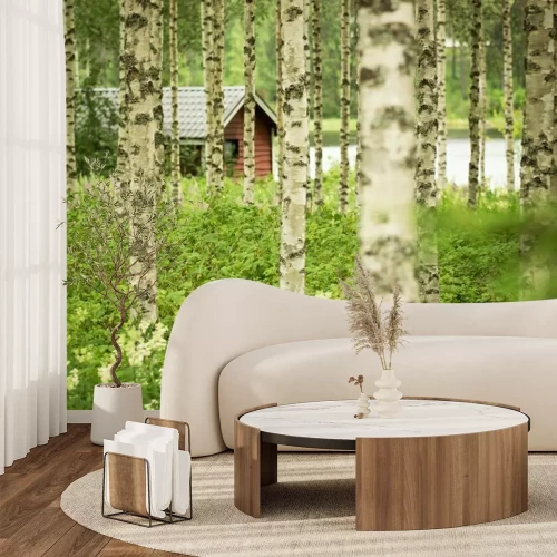 Fotobehang Berken en een huisje op de achtergrond