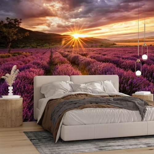 Fotobehang Spectaculaire zonsondergang boven de lavendel