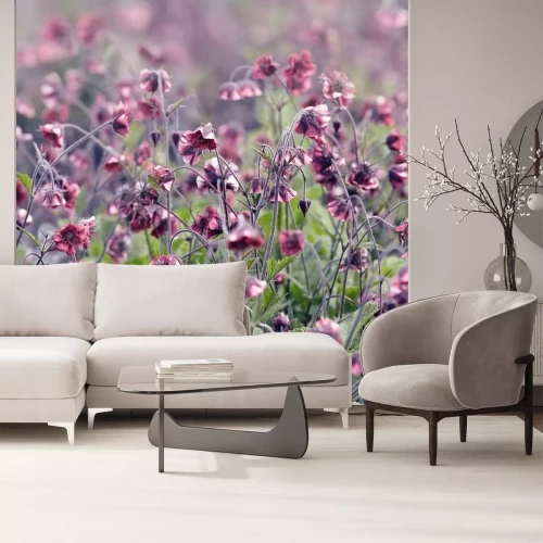 Sticker Gedroogde bloemen op een weide