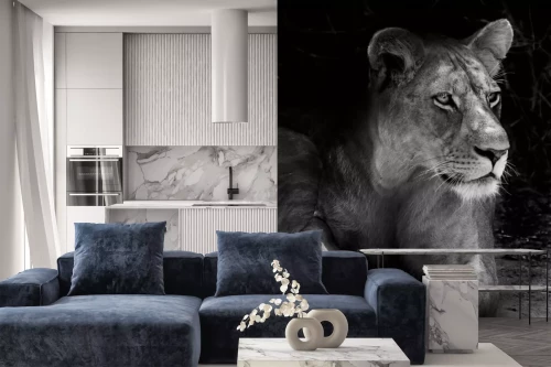 Visualisatie van het product