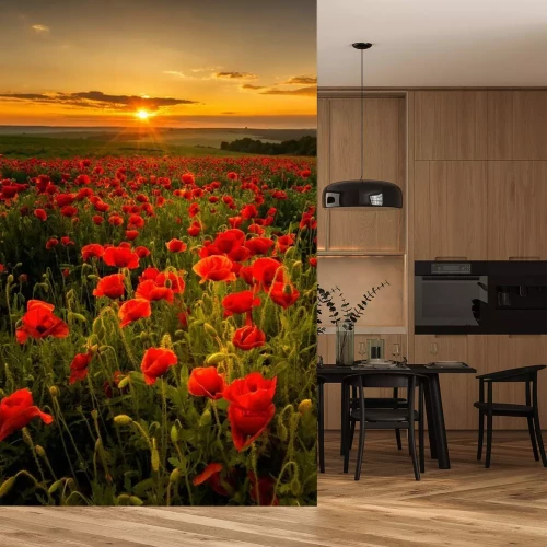 Fotobehang Een veld met rode klaprozen bij zonsondergang