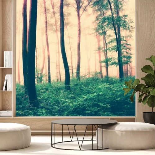 Fotobehang Een sepia-getint boslandschap met groene ondergroei en boomtoppen.