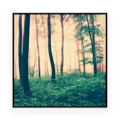 Poster Een sepia-getint boslandschap met groene ondergroei en boomtoppen.