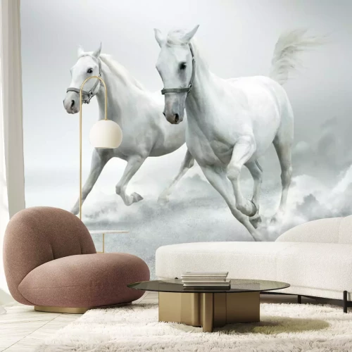 Fotobehang Galopperende paarden op een witte achtergrond