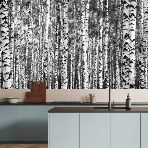 Fotobehang Zwart-witte dense berken