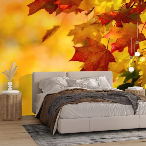 Sticker Herfstblaadjes