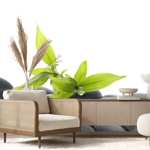 Sticker Groene bamboe met bladeren op kiezels