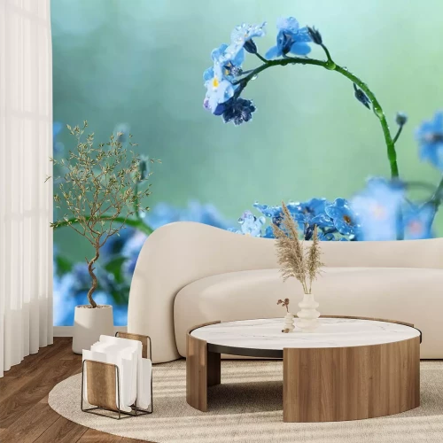 Fotobehang Kleine blauwe veldbloemen