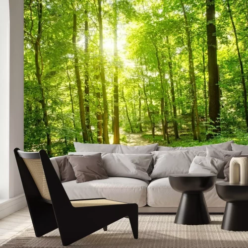 Fotobehang Bomen bos en pad