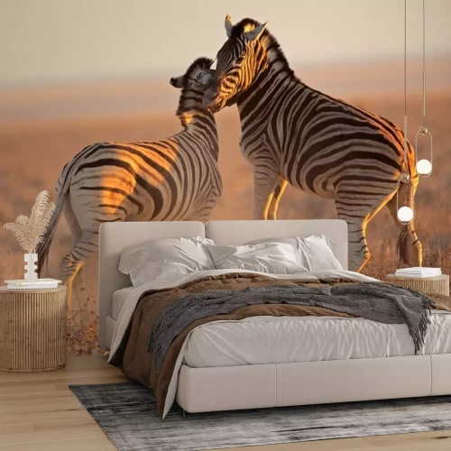 Sticker Vechten vlakteszebras, Etosha National Park