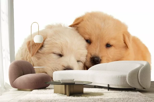 Visualisatie van het product