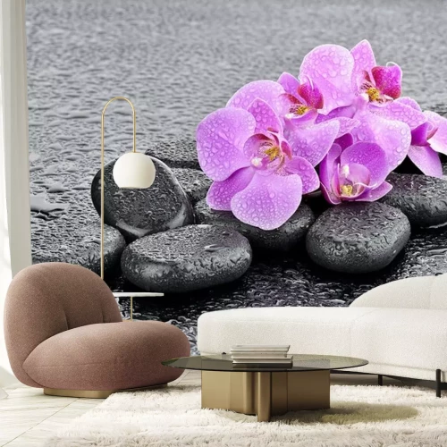 Sticker Storczyki na kamieniach bazaltowych