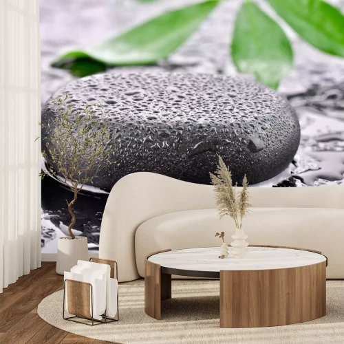 Sticker Kamień bazaltowy z liściem w tle