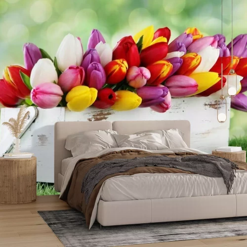 Fotobehang Kleurrijke tulpen in een houten doos
