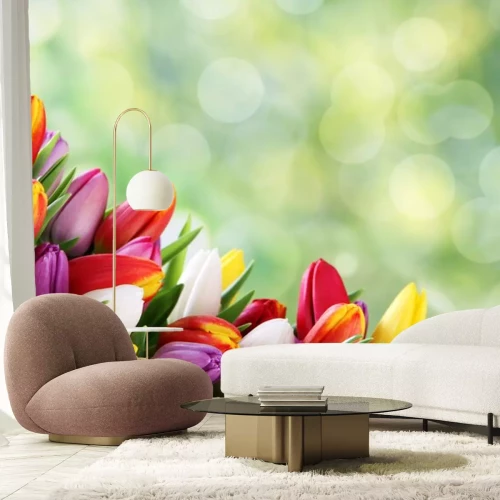 Sticker Veelkleurige tulpen op een groene achtergrond