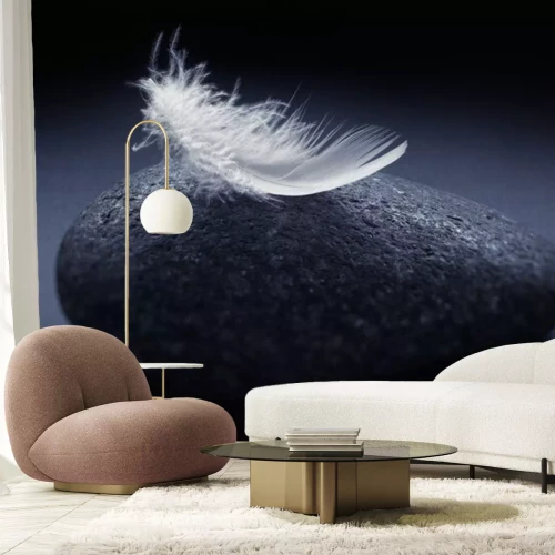 Sticker Witte veer op steen