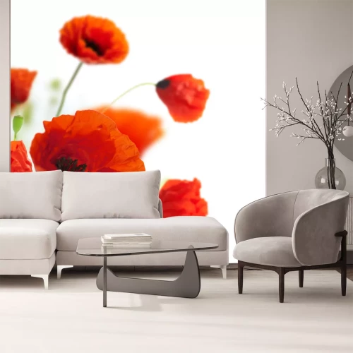 Sticker Papavers close-up