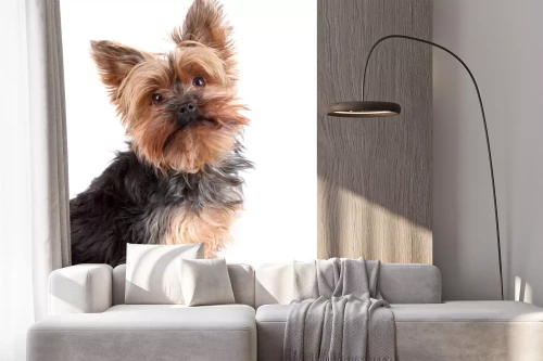 Visualisatie van het product