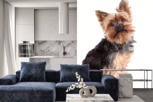 Visualisatie van het product