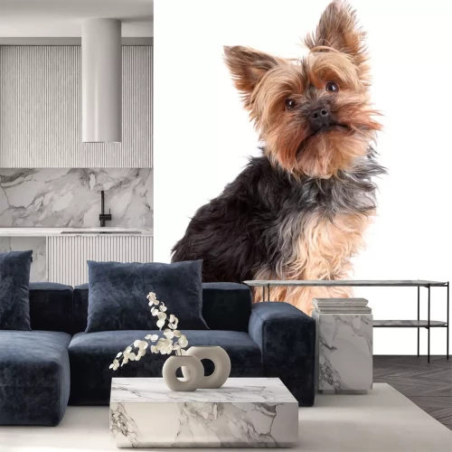 Sticker Yorkshire Terrier