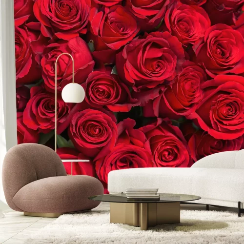 Fotobehang Een bosje rode rozen