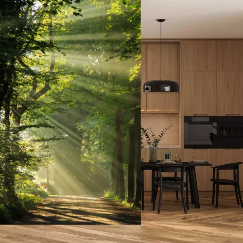 Sticker Stralen van de zon schijnt door de bomen in een bos.