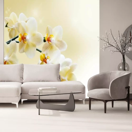Fotobehang Prachtige witte orchidee
