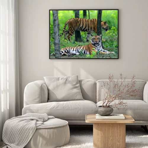 Visualisatie van het product