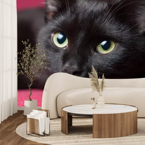 Sticker Close-up van de groene ogen van een kat