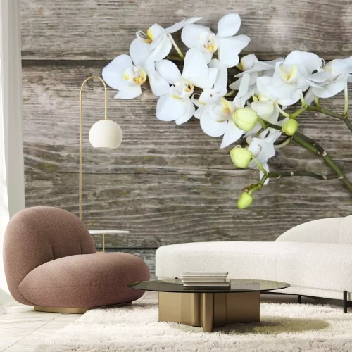 Fotobehang Een takje witte orchidee op de planken
