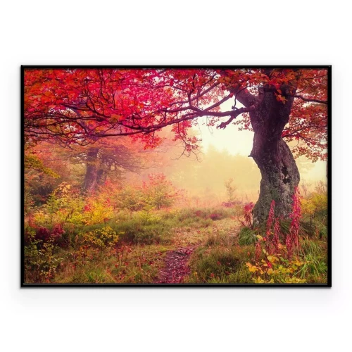 Poster Herfstbos in de mist met een kromgebogen boom