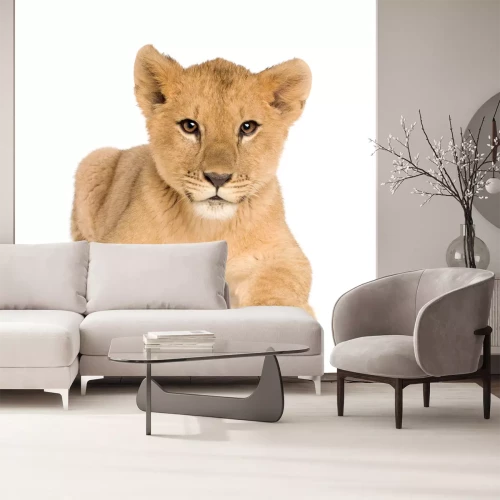 Sticker Lion Cub (5 maanden)
