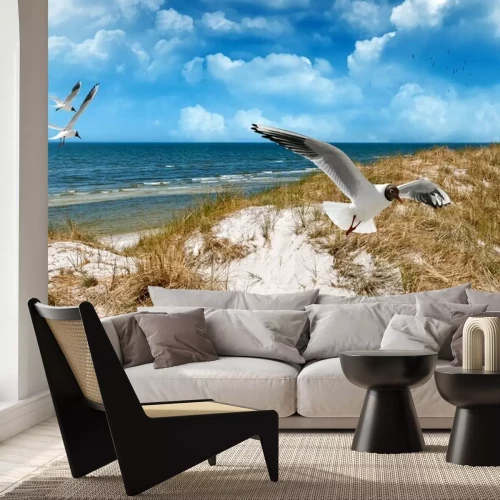 Fotobehang Meeuwen, duinen en de zee