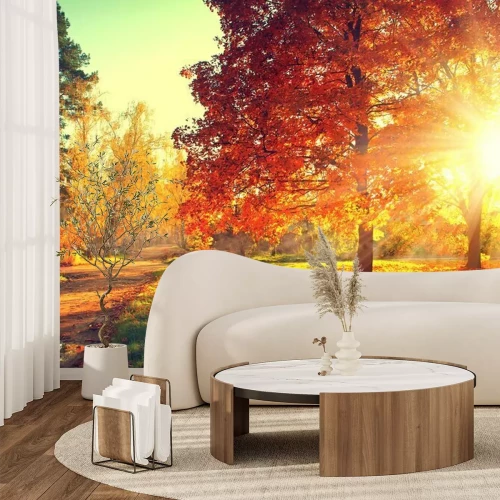 Fotobehang Bomen in een park in de herfst