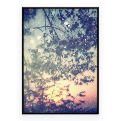 Poster Boomtakken die reflecties op het wateroppervlak creëren.