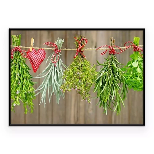 Poster Bosjes aromatische kruiden hangen aan een touw te drogen.