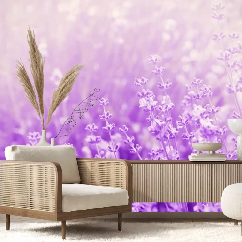 Sticker Vintage lavendel op paarse foto