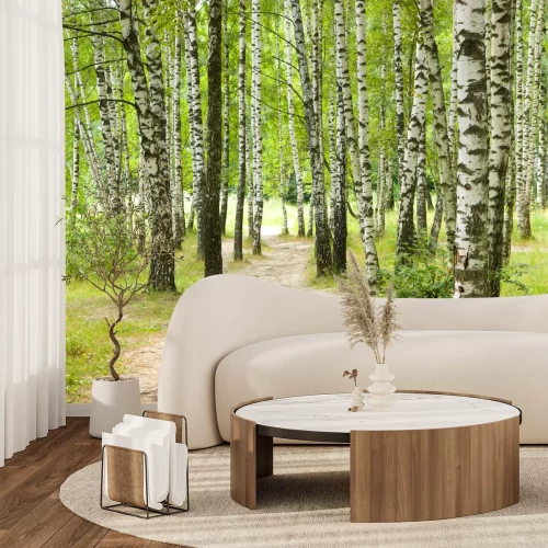 Fotobehang Paden in het berkenbos