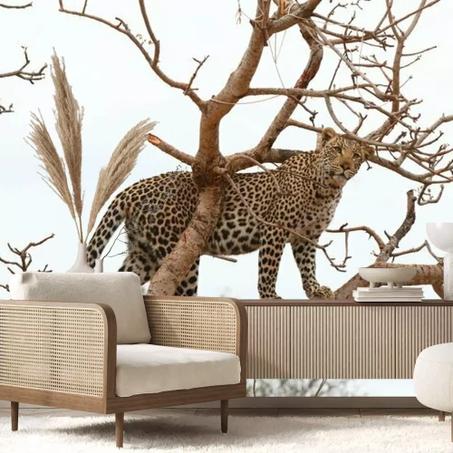 Fotobehang Luipaard staat op een boom