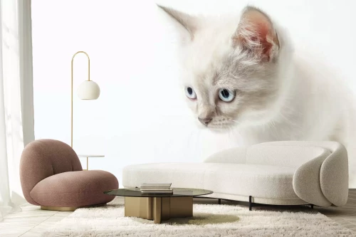 Visualisatie van het product