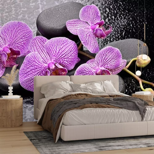 Fotobehang Orchideeën op basaltstenen
