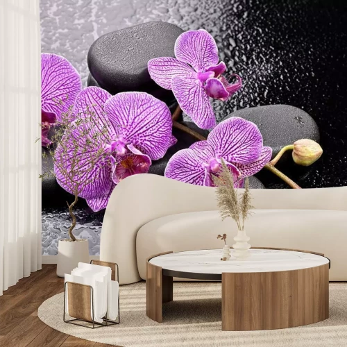 Sticker Orchideeën op basaltstenen