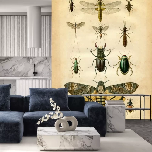 Fotobehang Retro-illustratie met insecten