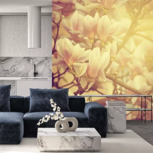 Fotobehang Witte magnolia in de zon