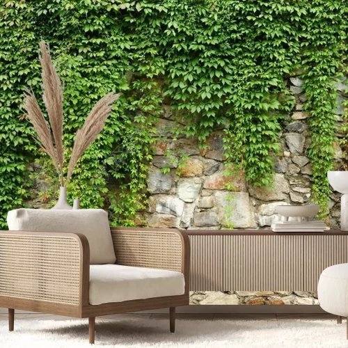 Fotobehang Groene klimop