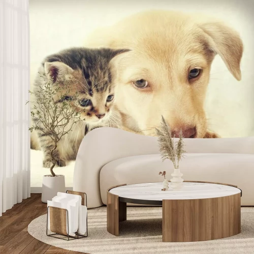 Fotobehang Puppy en kitten
