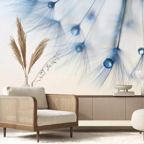 Fotobehang Paardenbloem zaden en blauwe druppels