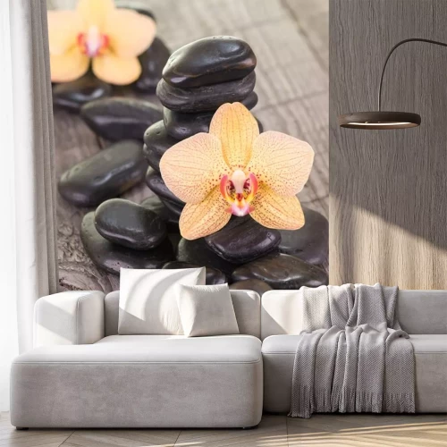 Sticker Gele Moth orchideeën en zwarte stenen op verweerde dek